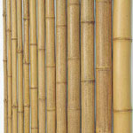 天然錆竹
